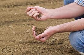 Bancos de Tierras Agroecológicos: recuperando el terreno perdido - Bio Eco  Actual